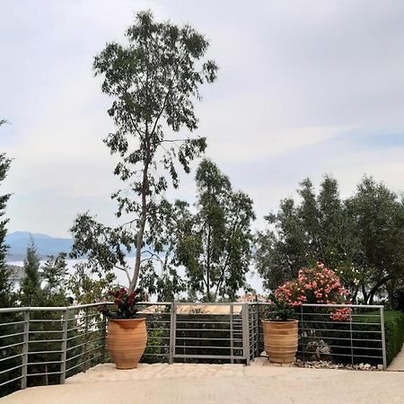 Villa Stone House In Olive Grove à Tolón Extérieur photo