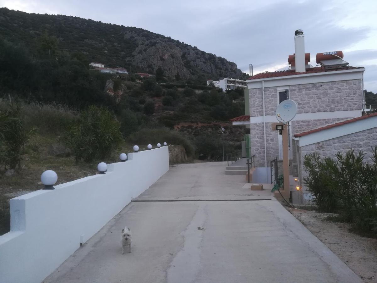 Villa Stone House In Olive Grove à Tolón Extérieur photo