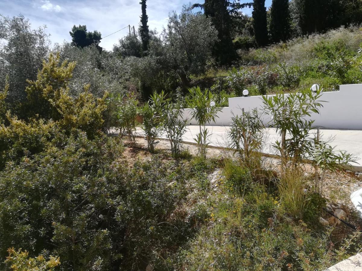 Villa Stone House In Olive Grove à Tolón Extérieur photo