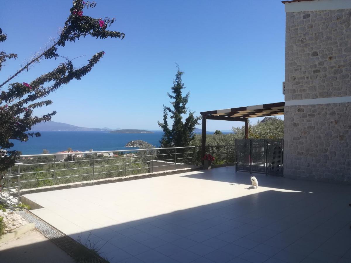 Villa Stone House In Olive Grove à Tolón Extérieur photo
