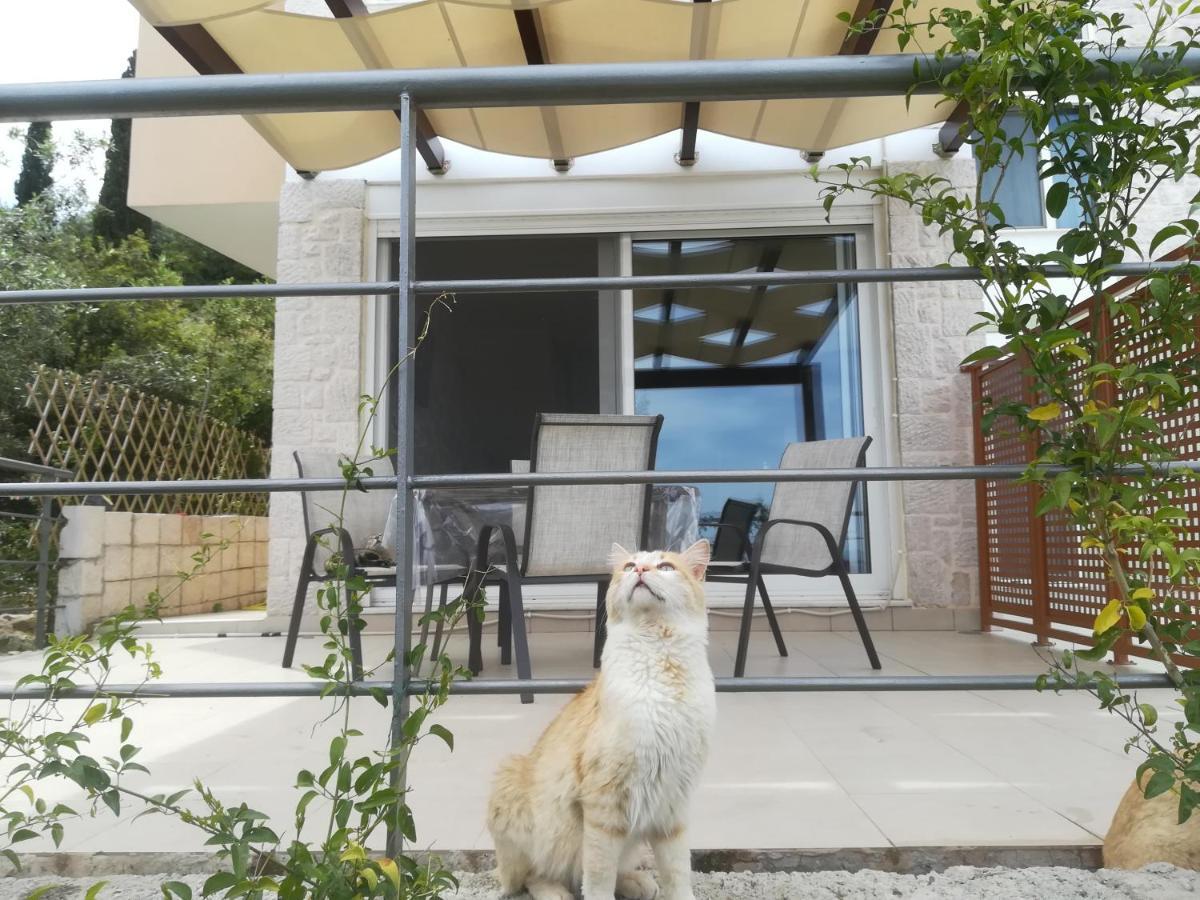 Villa Stone House In Olive Grove à Tolón Extérieur photo