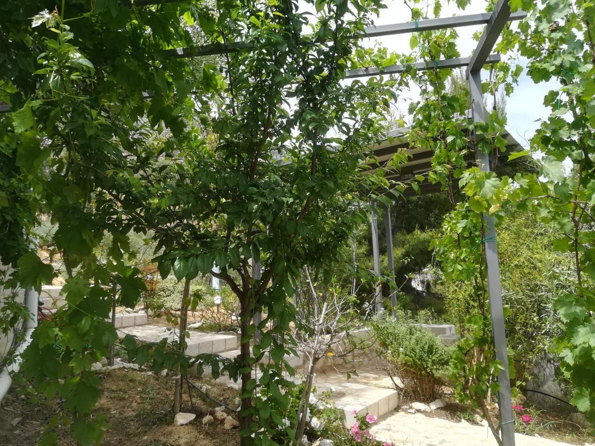 Villa Stone House In Olive Grove à Tolón Extérieur photo