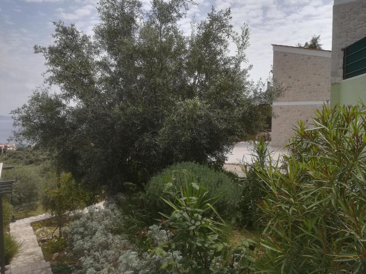 Villa Stone House In Olive Grove à Tolón Extérieur photo