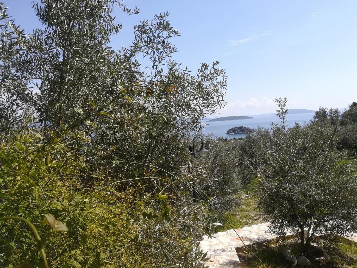 Villa Stone House In Olive Grove à Tolón Extérieur photo
