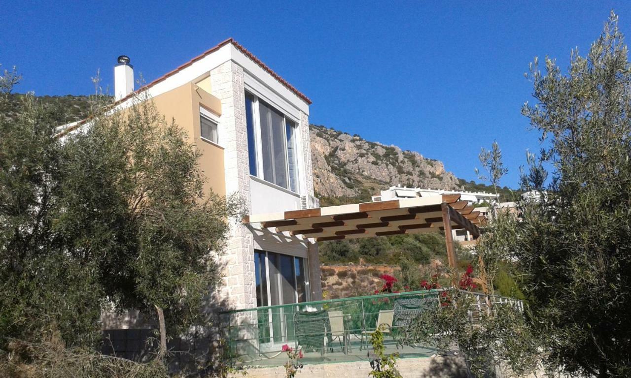 Villa Stone House In Olive Grove à Tolón Extérieur photo