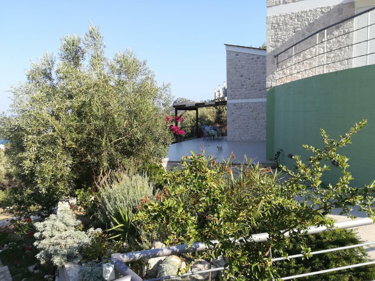 Villa Stone House In Olive Grove à Tolón Extérieur photo