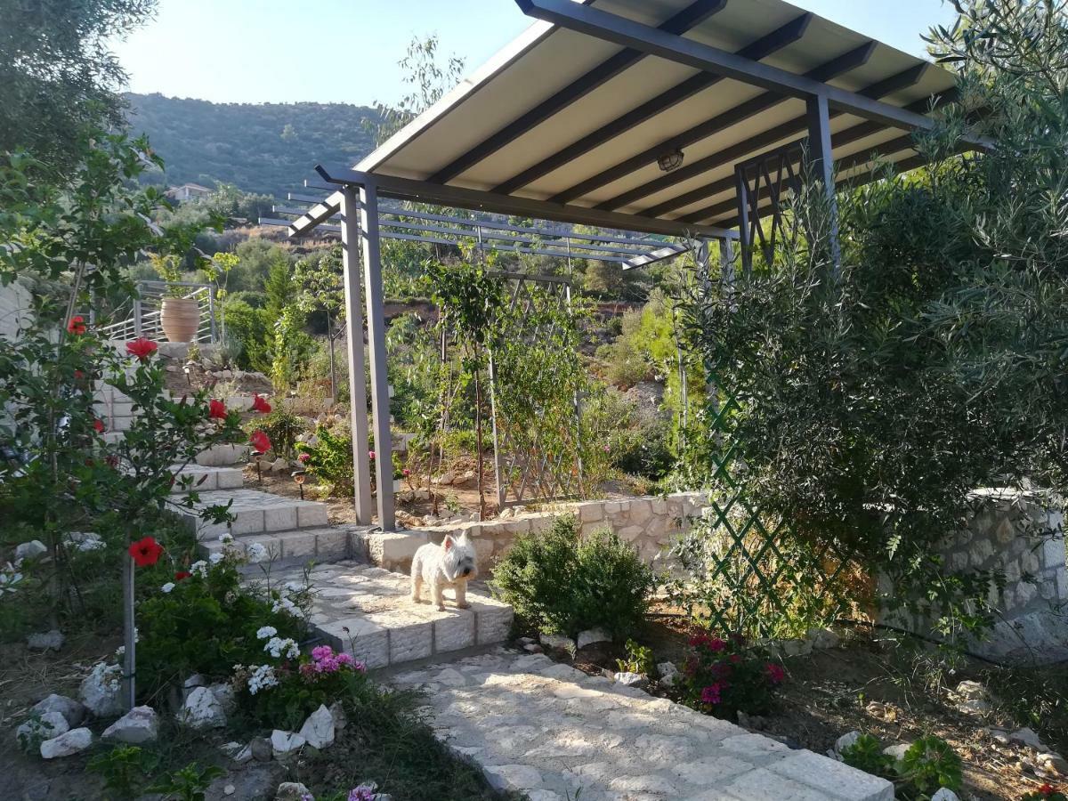 Villa Stone House In Olive Grove à Tolón Extérieur photo