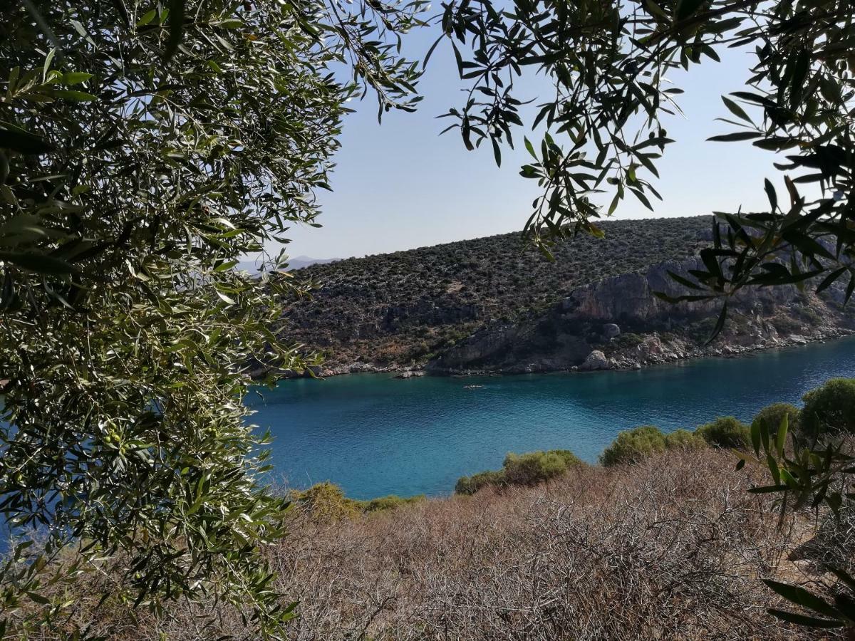 Villa Stone House In Olive Grove à Tolón Extérieur photo