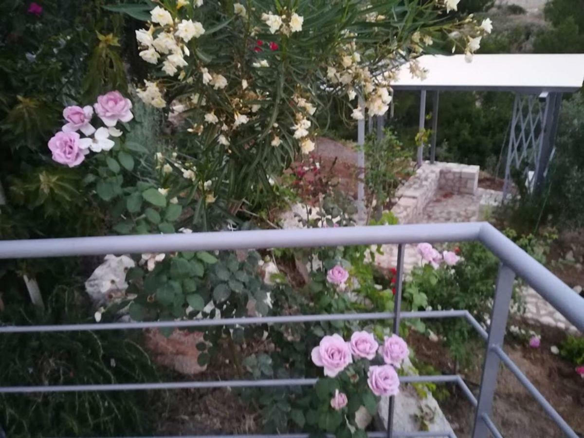 Villa Stone House In Olive Grove à Tolón Extérieur photo